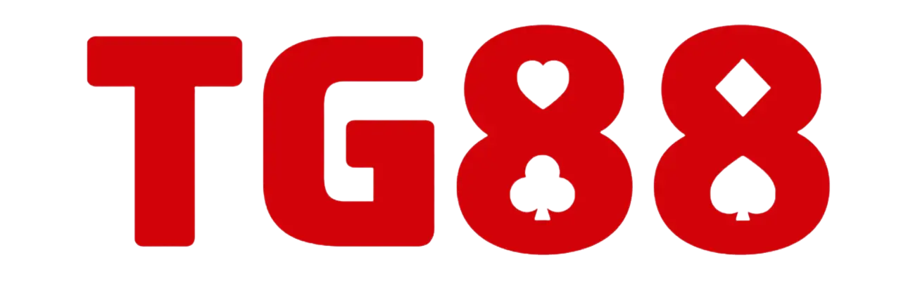newseo